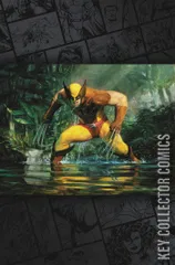 Cover for Wolverine #22