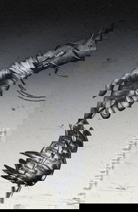 Fall of the House of Slaughter #2