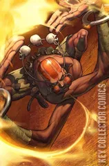 Variant Cover for Street Fighter #13