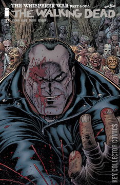 Variant Cover for The Walking Dead #162