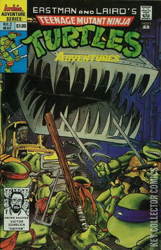 Variant Cover for Teenage Mutant Ninja Turtles Adventures #2