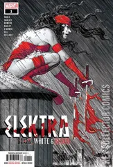 Cover for Elektra: Black, White & Blood #1