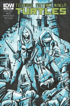 Variant Cover for Teenage Mutant Ninja Turtles #26