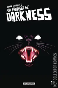 You Promised Me Darkness #1