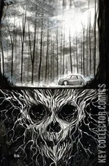 Variant Cover for Stillwater #1