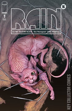 Variant Cover for Rain #1