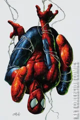 Cover for Amazing Spider-Man #30