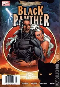 Black Panther #17
