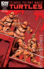 Cover for Teenage Mutant Ninja Turtles #12
