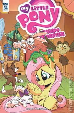 Variant Cover for My Little Pony: Friends Forever #34