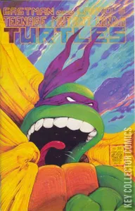 Teenage Mutant Ninja Turtles #22