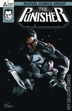 Variant Cover for Punisher #2