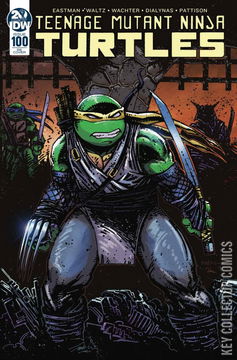 Variant Cover for Teenage Mutant Ninja Turtles #100