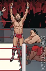 Variant Cover for WWE #20