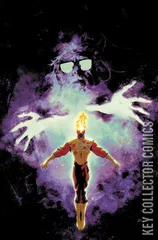 Cover for Fury of Firestorm #6
