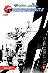 Variant Cover for Thundercats x Silverhawks: Thunderhawks #2