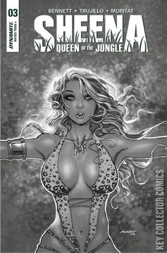 Variant Cover for Sheena, Queen of the Jungle #3