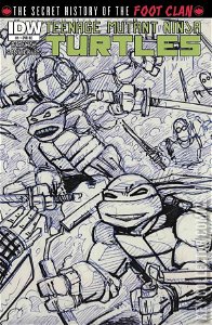 Teenage Mutant Ninja Turtles: The Secret History of the Foot Clan #1 