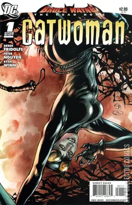 Bruce Wayne: The Road Home - Catwoman