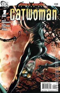 Bruce Wayne: The Road Home - Catwoman #1