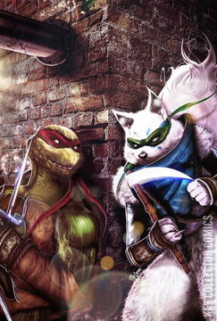 Variant Cover for Teenage Mutant Ninja Turtles #110