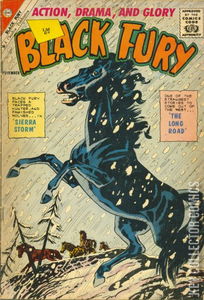 Black Fury #33