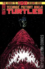 Variant Cover for Teenage Mutant Ninja Turtles #145