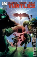 Variant Cover for Teenage Mutant Ninja Turtles #31