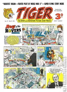 Tiger #37