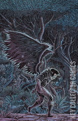 Variant Cover for Wynd: The Throne In The Sky #4