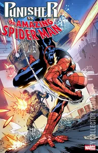 Punisher vs Spider-Man #2