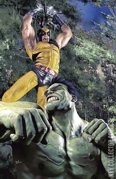 Variant Cover for Hulk #3