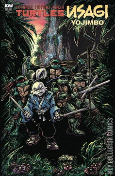 Variant Cover for Teenage Mutant Ninja Turtles / Usagi Yojimbo #1