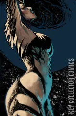 Variant Cover for Witchblade #18