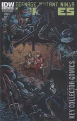Variant Cover for Teenage Mutant Ninja Turtles #17