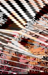 Neighborhood Watch #2