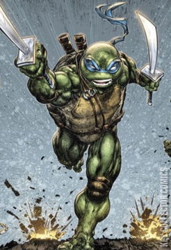 Variant Cover for Teenage Mutant Ninja Turtles #110