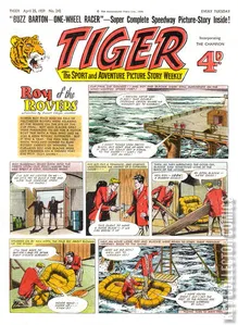 Tiger #242