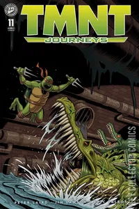Teenage Mutant Ninja Turtles: Journeys #11