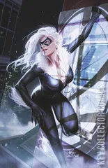 Variant Cover for Black Cat #3