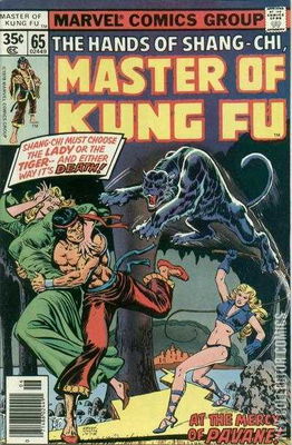 Master of Kung Fu