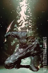 Variant Cover for Absolute Green Arrow #3