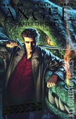 Variant Cover for Angel: After the Fall #1