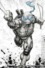 Variant Cover for Teenage Mutant Ninja Turtles #110