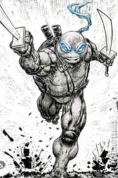 Variant Cover for Teenage Mutant Ninja Turtles #110