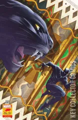 Cover for Black Panther #25