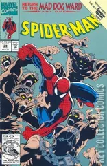 Cover for Spider-Man #29