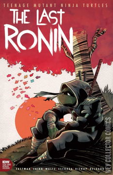 Variant Cover for Teenage Mutant Ninja Turtles: The Last Ronin #3