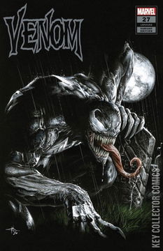 Variant Cover for Venom #27
