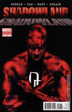 Variant Cover for Shadowland #1